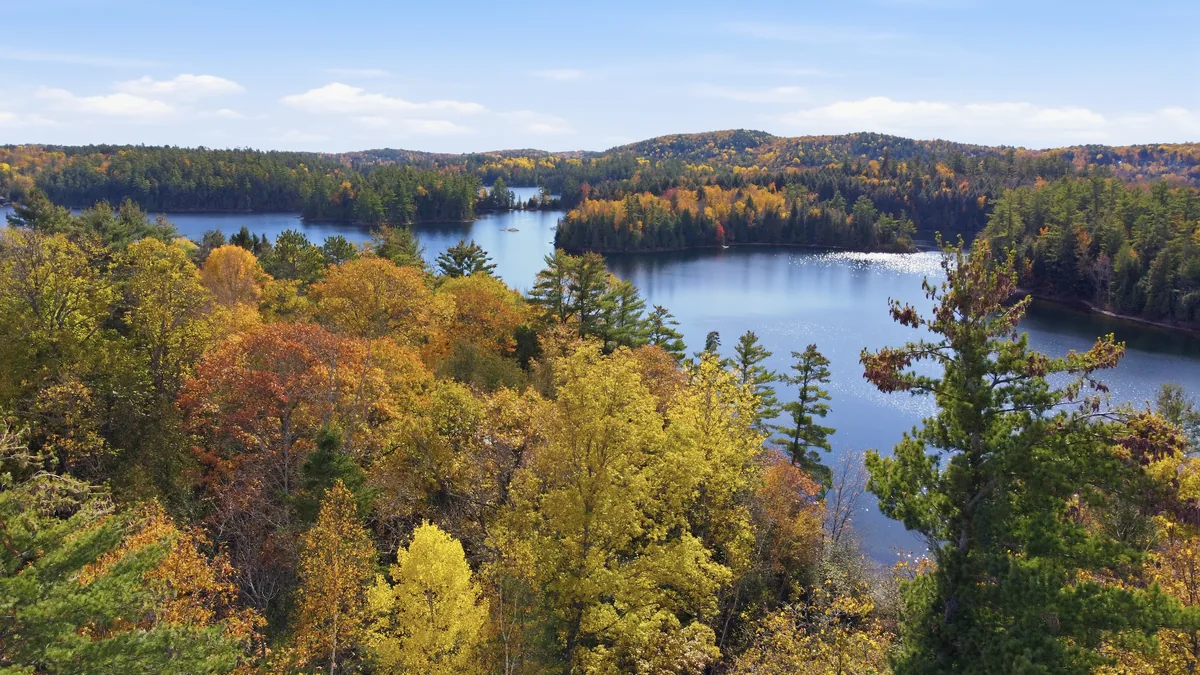 Vue aérienne d’une anse calme encadrée d’arbres dorés en automne
